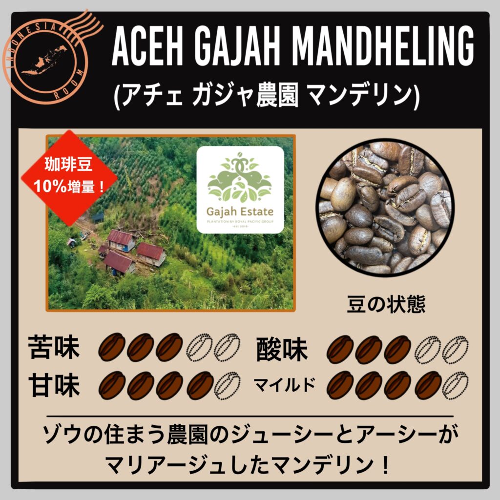 インドネシア アチェ ガジャ農園 マンデリン(中煎り)
商品紹介①
