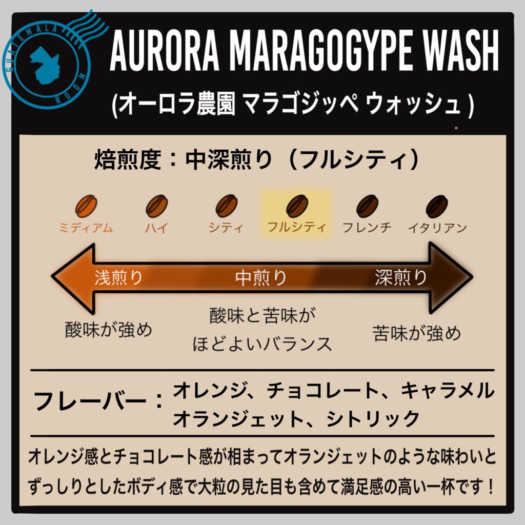 グアテマラ コバン オーロラ農園 マラゴジッペ(中深煎り)
商品紹介②
